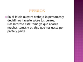  Enel inicio nuestro trabajo lo pensamos y
 decidimos hacerlo sobre los perros.
 Nos intereso éste tema ya que abarca
 muchos temas y es algo que nos gusta por
 parte y parte.
 