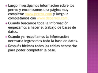  Luego  investigamos información sobre los
  perros y encontramos una página muy
  completa: www.perros.com y luego la
  completamos con www.deperros.com.
 Cuando buscamos toda la información
  empezamos a hacer el trabajo de bases de
  datos.
 Cuando ya recopilamos la información
  necesaria ingresamos todo la base de datos.
 Después hicimos todos las tablas necesarias
  para poder completar la base.
 