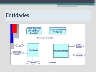 Entidades
 