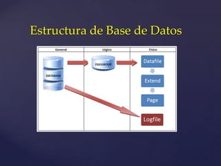 Estructura de Base de Datos
 