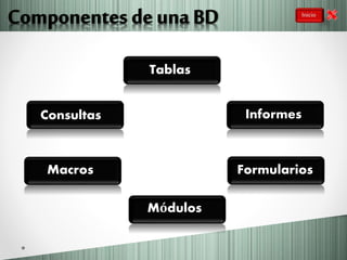 Tablas
Informes
Módulos
Consultas
FormulariosMacros
 