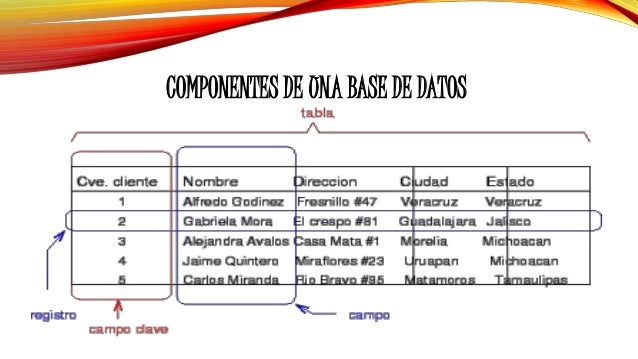 BASE DE DATOS