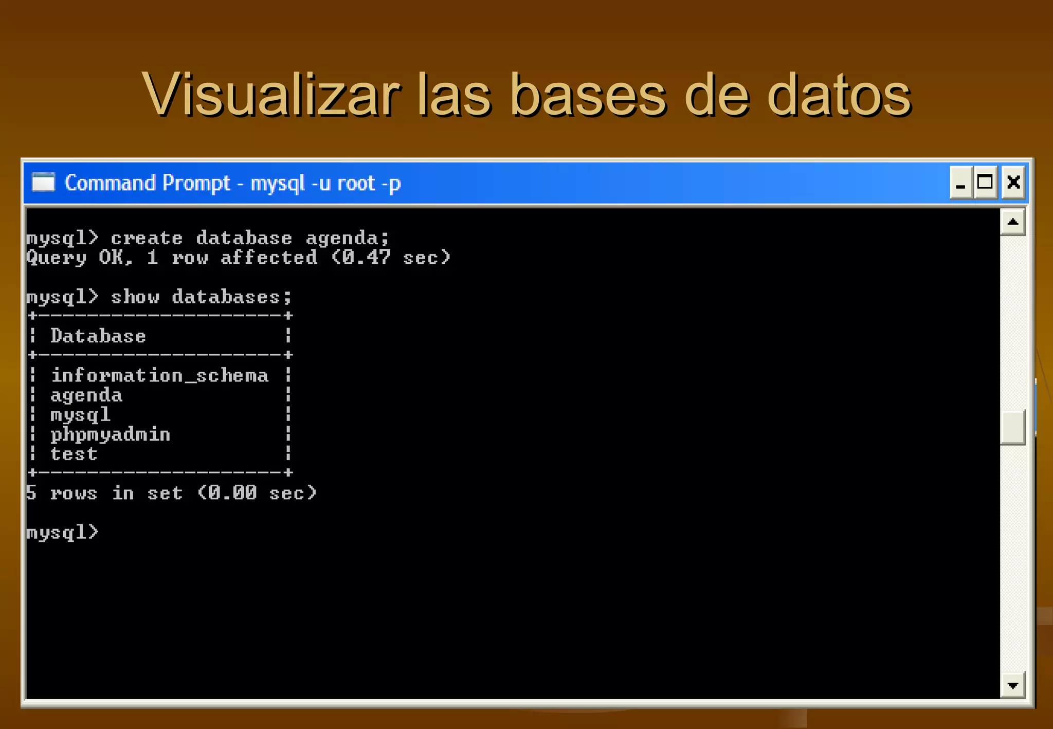 Visualizar las bases de datos
 