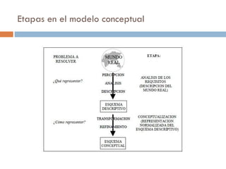 Etapas en el modelo conceptual
 