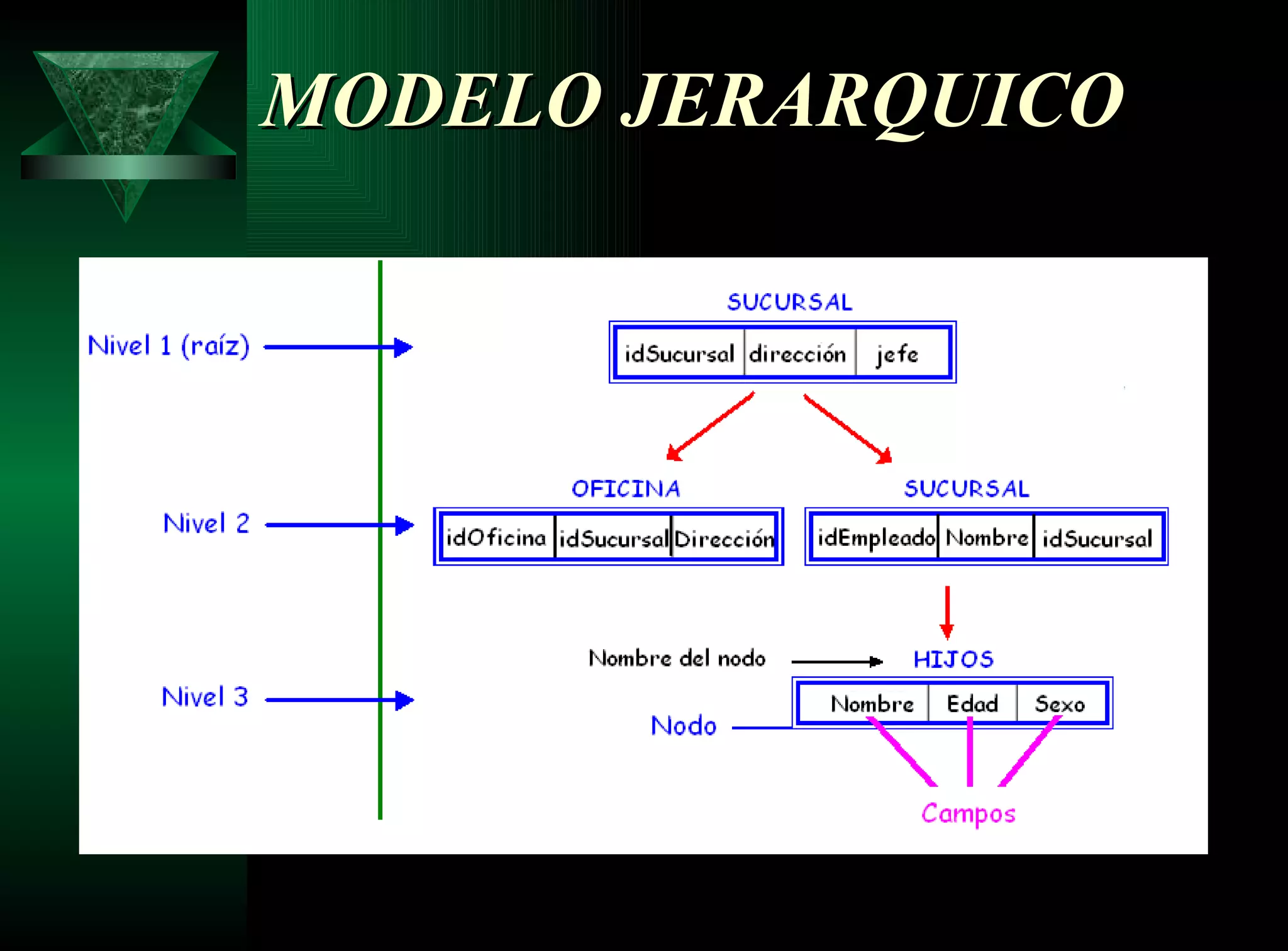 MODELO JERARQUICO 