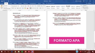 FORMATO APA
 