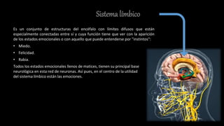 Sistema límbico
Es un conjunto de estructuras del encéfalo con límites difusos que están
especialmente conectadas entre sí y cuya función tiene que ver con la aparición
de los estados emocionales o con aquello que puede entenderse por "instintos“:
• Miedo.
• Felicidad.
• Rabia.
Todos los estados emocionales llenos de matices, tienen su principal base
neurológica en esta red de neuronas. Así pues, en el centro de la utilidad
del sistema límbico están las emociones.
 