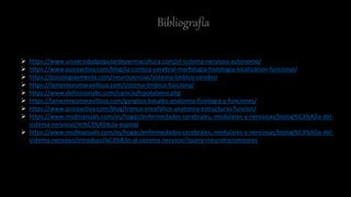 Bibliografía
 https://www.universidadpopulardepermacultura.com/el-sistema-nervioso-autonomo/
 https://www.psicoactiva.com/blog/la-corteza-cerebral-morfologia-histologia-localizacion-funcional/
 https://psicologiaymente.com/neurociencias/sistema-limbico-cerebro
 https://lamenteesmaravillosa.com/sistema-limbico-funciona/
 https://www.definicionabc.com/ciencia/hipotalamo.php
 https://lamenteesmaravillosa.com/ganglios-basales-anatomia-fisiologia-y-funciones/
 https://www.psicoactiva.com/blog/tronco-encefalico-anatomia-estructuras-funcion/
 https://www.msdmanuals.com/es/hogar/enfermedades-cerebrales,-medulares-y-nerviosas/biolog%C3%ADa-del-
sistema-nervioso/m%C3%A9dula-espinal
 https://www.msdmanuals.com/es/hogar/enfermedades-cerebrales,-medulares-y-nerviosas/biolog%C3%ADa-del-
sistema-nervioso/introducci%C3%B3n-al-sistema-nervioso?query=neurotransmisores
 