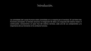 Introducción.
Las actividades del cuerpo humano están controladas en su mayoría por el nervioso. El cual tiene tres
funciones principales: la entrada sensorial, la integración de datos y la respuesta del sistema motor. A
continuación, conoceremos un poco mas del sistema nervioso, cada uno de sus componentes y la
importancia de sus funciones en la conducta humana.
 