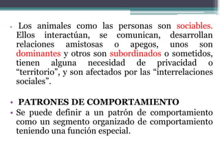 • Los animales como las personas son sociables.
Ellos interactúan, se comunican, desarrollan
relaciones amistosas o apegos, unos son
dominantes y otros son subordinados o sometidos,
tienen alguna necesidad de privacidad o
“territorio”, y son afectados por las “interrelaciones
sociales”.
• PATRONES DE COMPORTAMIENTO
• Se puede definir a un patrón de comportamiento
como un segmento organizado de comportamiento
teniendo una función especial.
 