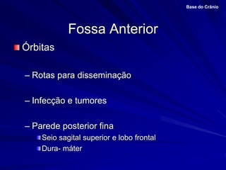 Fossa Anterior
Órbitas
– Rotas para disseminação
– Infecção e tumores
– Parede posterior fina
Seio sagital superior e lobo frontal
Dura- máter
Base do Crânio
 