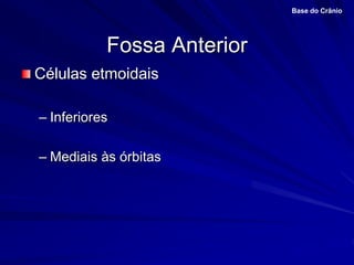Fossa Anterior
Células etmoidais
– Inferiores
– Mediais às órbitas
Base do Crânio
 