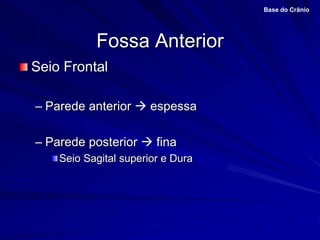 Fossa Anterior
Seio Frontal
– Parede anterior  espessa
– Parede posterior  fina
Seio Sagital superior e Dura
Base do Crânio
 