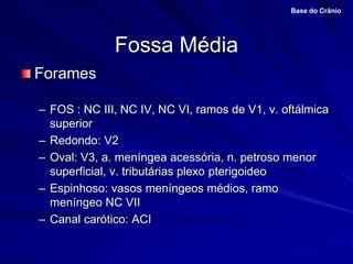 Fossa Média
Forames
– FOS : NC III, NC IV, NC VI, ramos de V1, v. oftálmica
superior
– Redondo: V2
– Oval: V3, a. meníngea acessória, n. petroso menor
superficial, v. tributárias plexo pterigoideo
– Espinhoso: vasos meníngeos médios, ramo
meníngeo NC VII
– Canal carótico: ACI
Base do Crânio
 