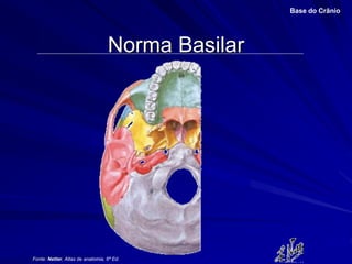 Norma Basilar
Base do Crânio
Fonte: Netter, Atlas de anatomia, 6ª Ed.
 