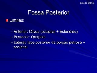 Fossa Posterior
Limites:
– Anterior: Clivus (occipital + Esfenóide)
– Posterior: Occipital
– Lateral: face posterior da porção petrosa +
occipital
Base do Crânio
 