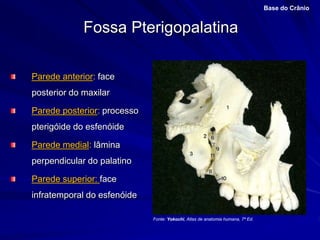 Fossa Pterigopalatina
Base do Crânio
Parede anterior: face
posterior do maxilar
Parede posterior: processo
pterigóide do esfenóide
Parede medial: lâmina
perpendicular do palatino
Parede superior: face
infratemporal do esfenóide
Fonte: Yokochi, Atlas de anatomia humana, 7ª Ed.
 