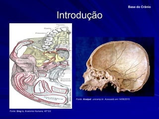 Introdução
Base do Crânio
Fonte: Gray´s, Anatomia Humana, 40ª Ed.
Fonte: Anatpat .unicamp.br. Acessado em 14/06/2015
 