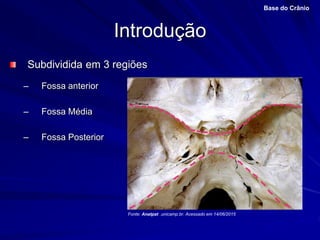 Introdução
Subdividida em 3 regiões
– Fossa anterior
– Fossa Média
– Fossa Posterior
Base do Crânio
Fonte: Anatpat .unicamp.br. Acessado em 14/06/2015
 