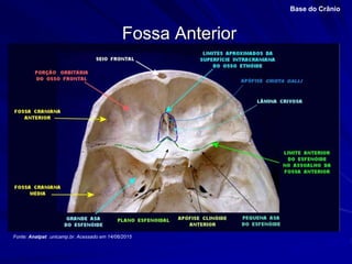 Fossa Anterior
Base do Crânio
Fonte: Anatpat .unicamp.br. Acessado em 14/06/2015
 