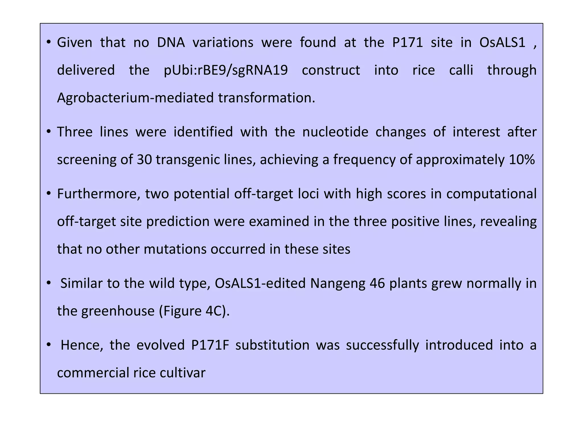 • Given that no DNA variations were found at the P171 site in OsALS1 ,
delivered the pUbi:rBE9/sgRNA19 construct into rice calli through
Agrobacterium-mediated transformation.
• Three lines were identified with the nucleotide changes of interest after
screening of 30 transgenic lines, achieving a frequency of approximately 10%
• Furthermore, two potential off-target loci with high scores in computational
off-target site prediction were examined in the three positive lines, revealing
that no other mutations occurred in these sites
• Similar to the wild type, OsALS1-edited Nangeng 46 plants grew normally in
the greenhouse (Figure 4C).
• Hence, the evolved P171F substitution was successfully introduced into a
commercial rice cultivar
 