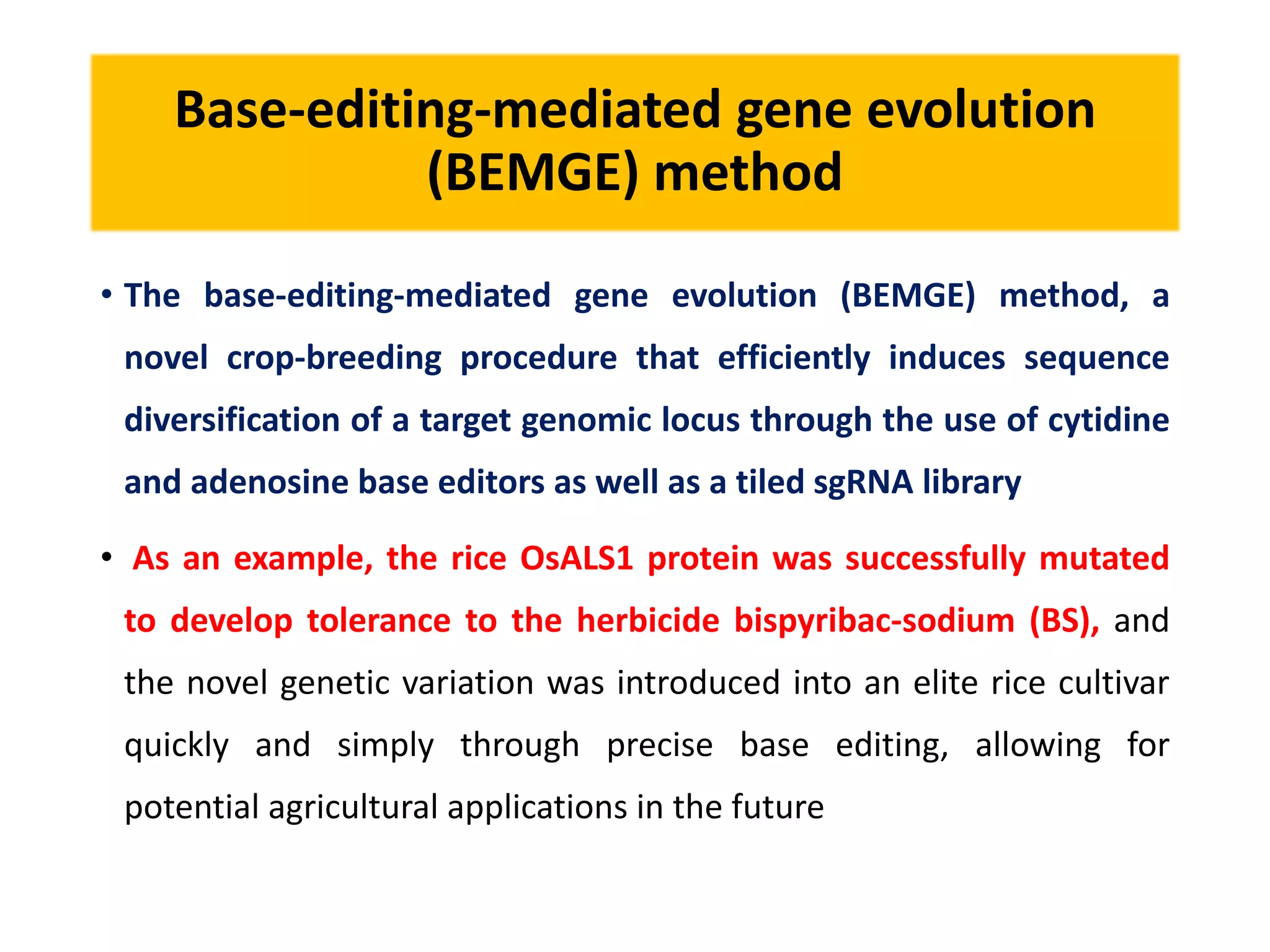 Base-editing-mediated gene evolution
(BEMGE) method
• The base-editing-mediated gene evolution (BEMGE) method, a
novel crop-breeding procedure that efficiently induces sequence
diversification of a target genomic locus through the use of cytidine
and adenosine base editors as well as a tiled sgRNA library
• As an example, the rice OsALS1 protein was successfully mutated
to develop tolerance to the herbicide bispyribac-sodium (BS), and
the novel genetic variation was introduced into an elite rice cultivar
quickly and simply through precise base editing, allowing for
potential agricultural applications in the future
 