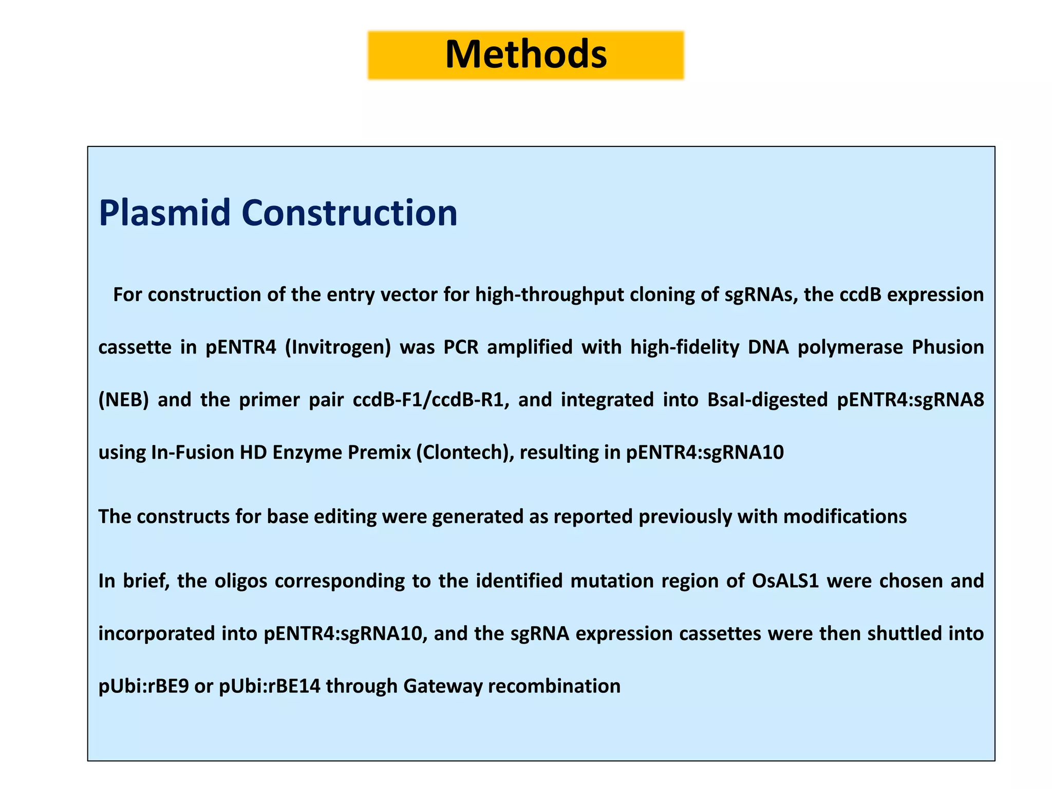 Methods
Plasmid Construction
For construction of the entry vector for high-throughput cloning of sgRNAs, the ccdB expression
cassette in pENTR4 (Invitrogen) was PCR amplified with high-fidelity DNA polymerase Phusion
(NEB) and the primer pair ccdB-F1/ccdB-R1, and integrated into BsaI-digested pENTR4:sgRNA8
using In-Fusion HD Enzyme Premix (Clontech), resulting in pENTR4:sgRNA10
The constructs for base editing were generated as reported previously with modifications
In brief, the oligos corresponding to the identified mutation region of OsALS1 were chosen and
incorporated into pENTR4:sgRNA10, and the sgRNA expression cassettes were then shuttled into
pUbi:rBE9 or pUbi:rBE14 through Gateway recombination
 