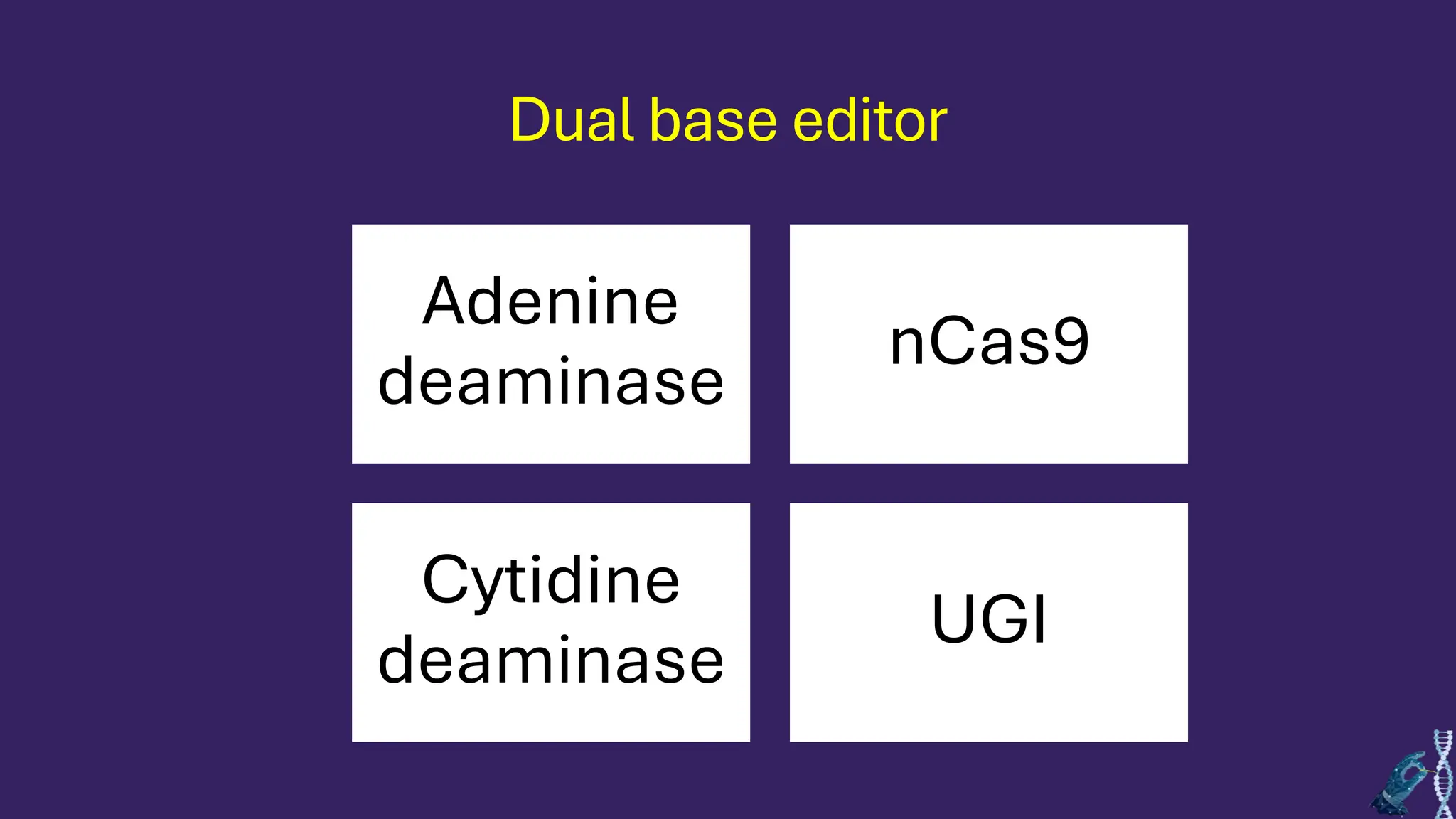 Dual base editor
Adenine
deaminase
nCas9
Cytidine
deaminase
UGI