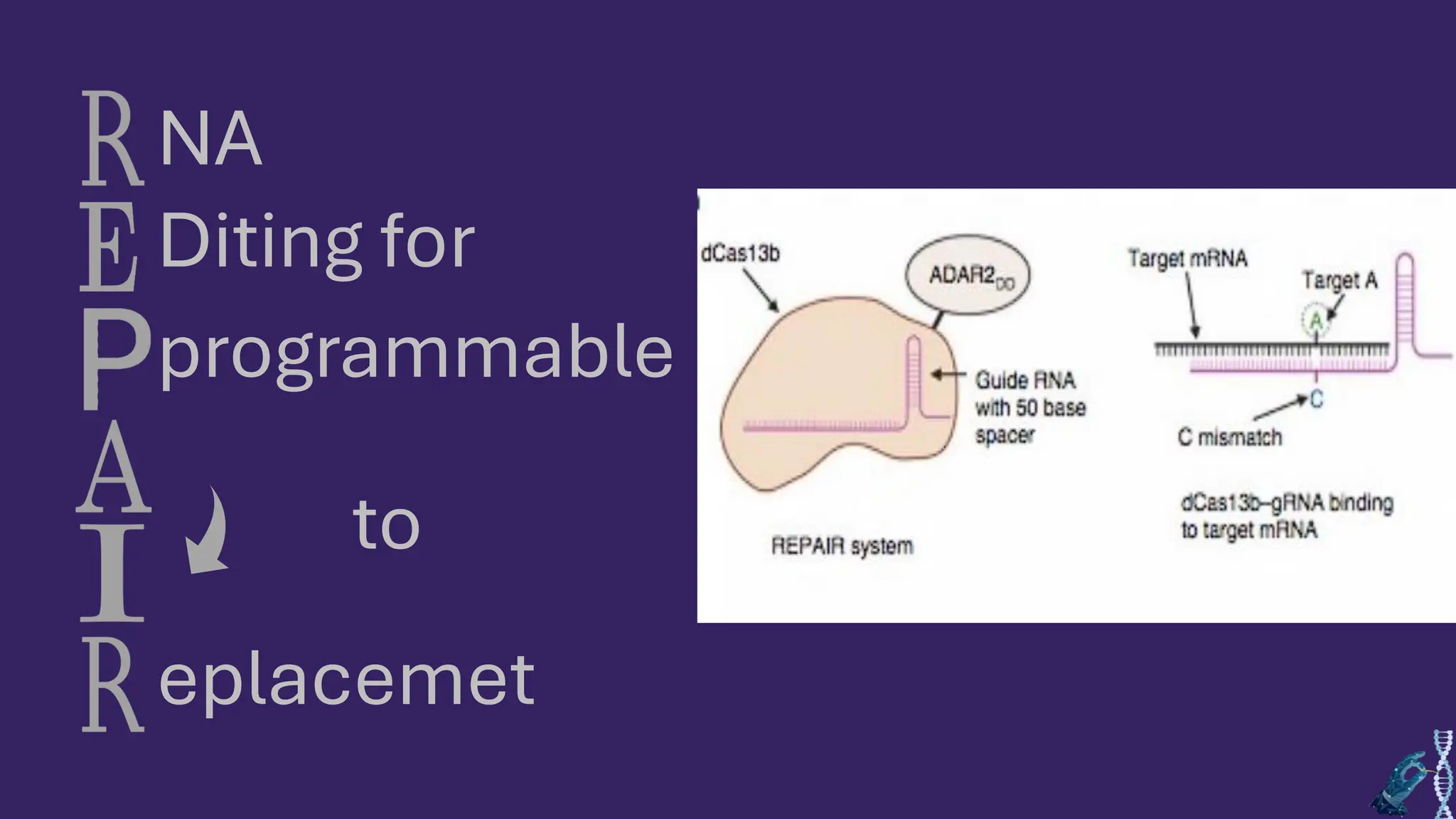 NA
Diting for
programmable
to
eplacemet