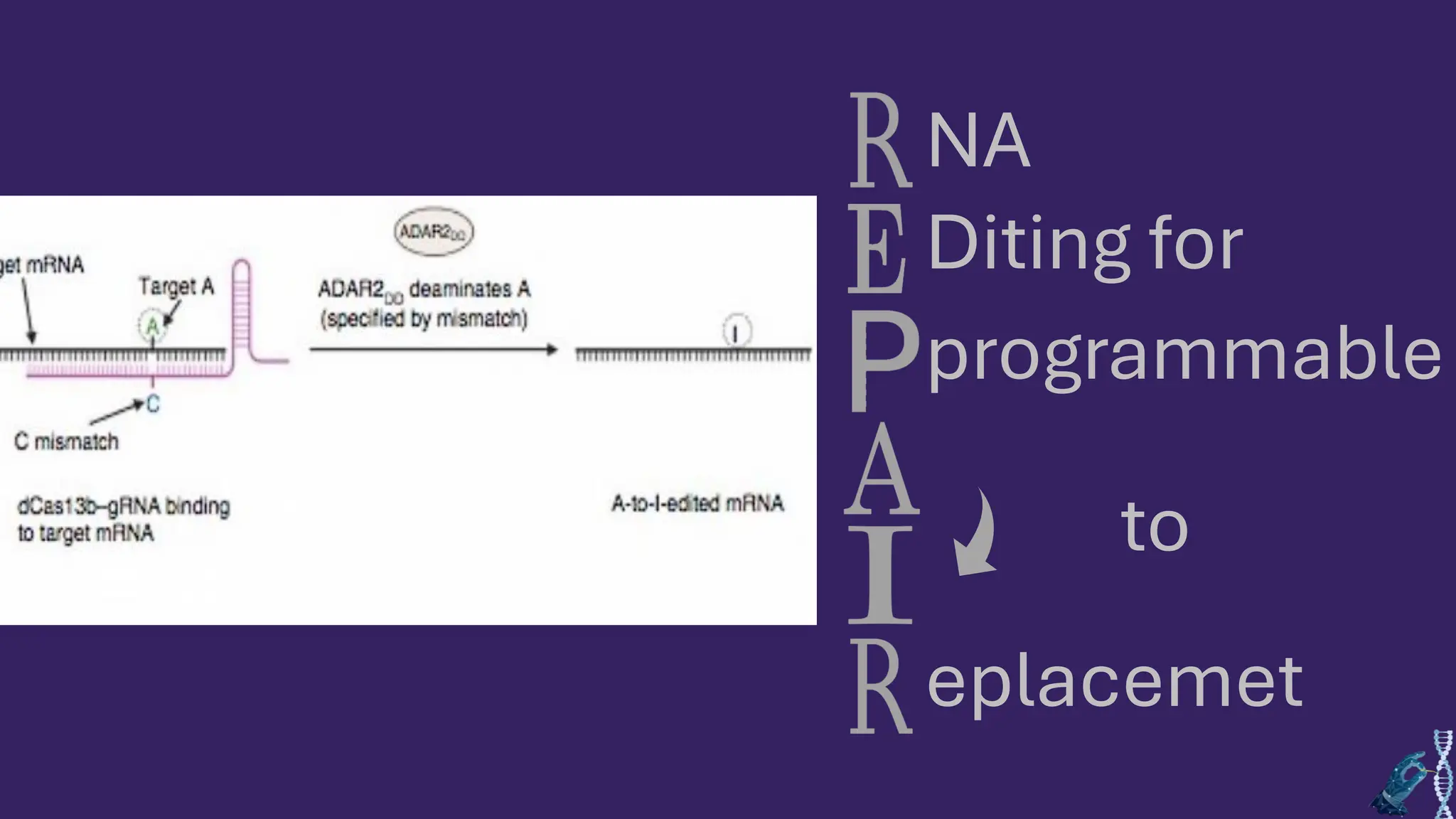 NA
Diting for
programmable
to
eplacemet