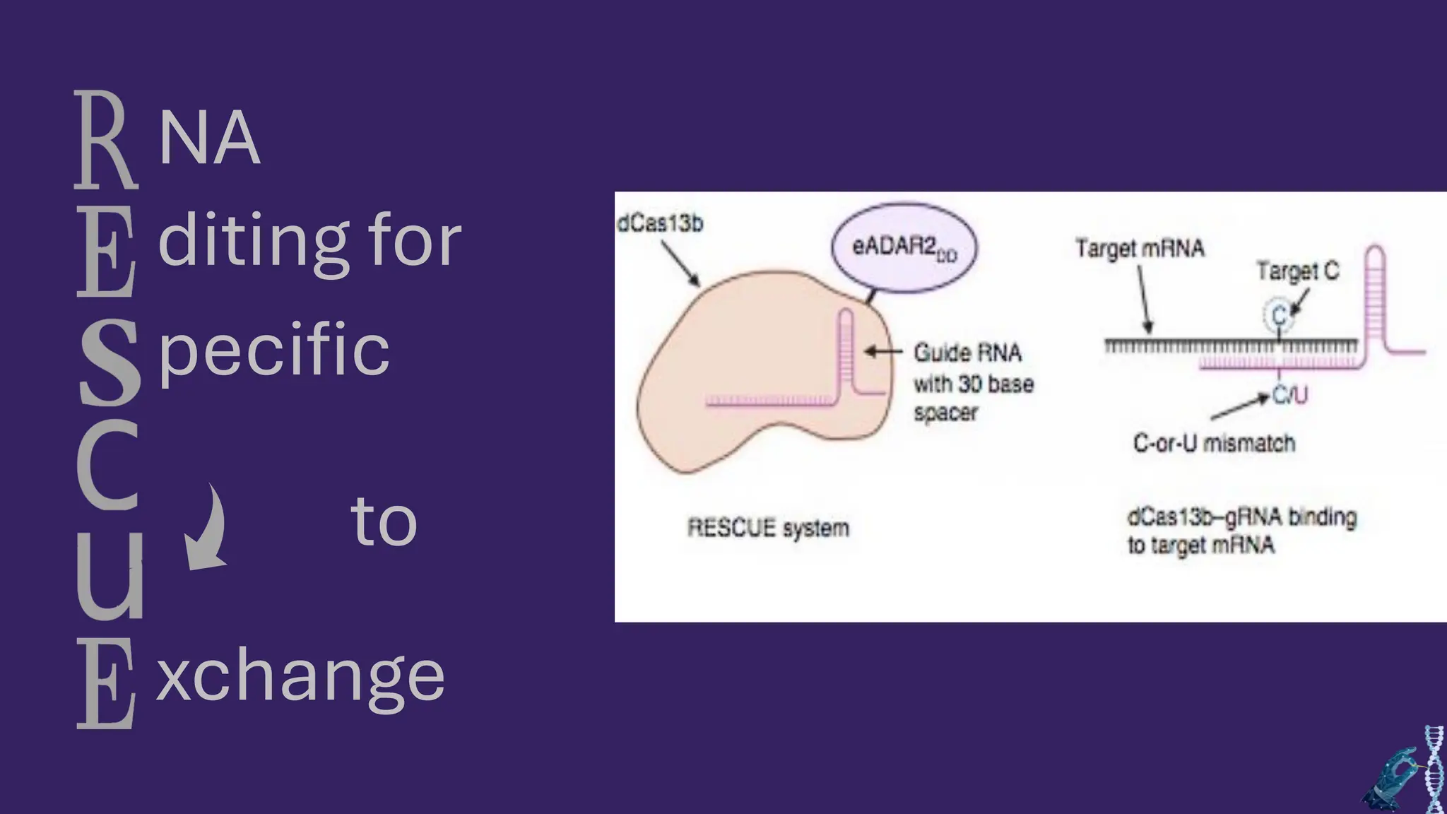 NA
diting for
pecific
to
xchange