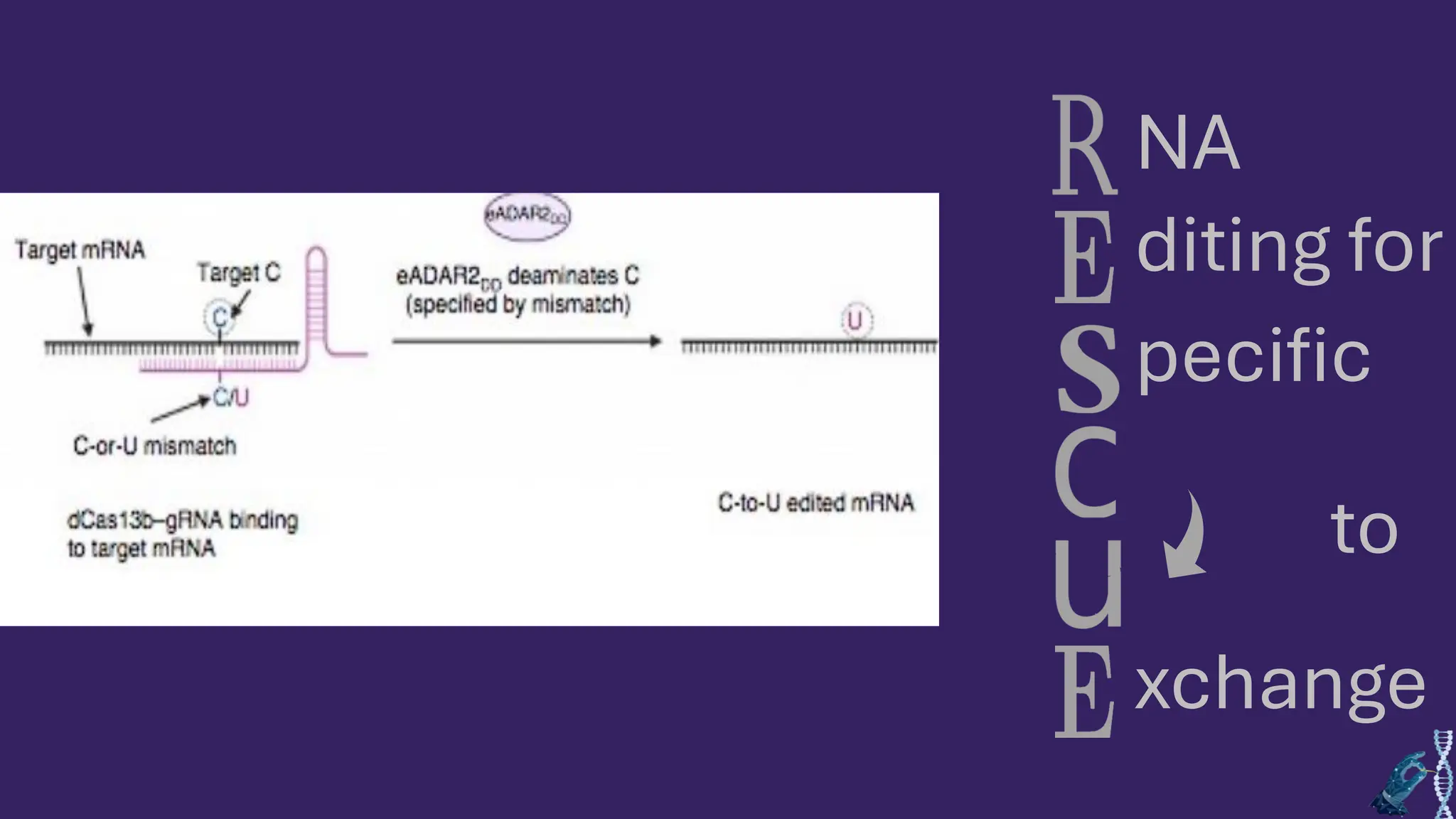 NA
diting for
pecific
to
xchange