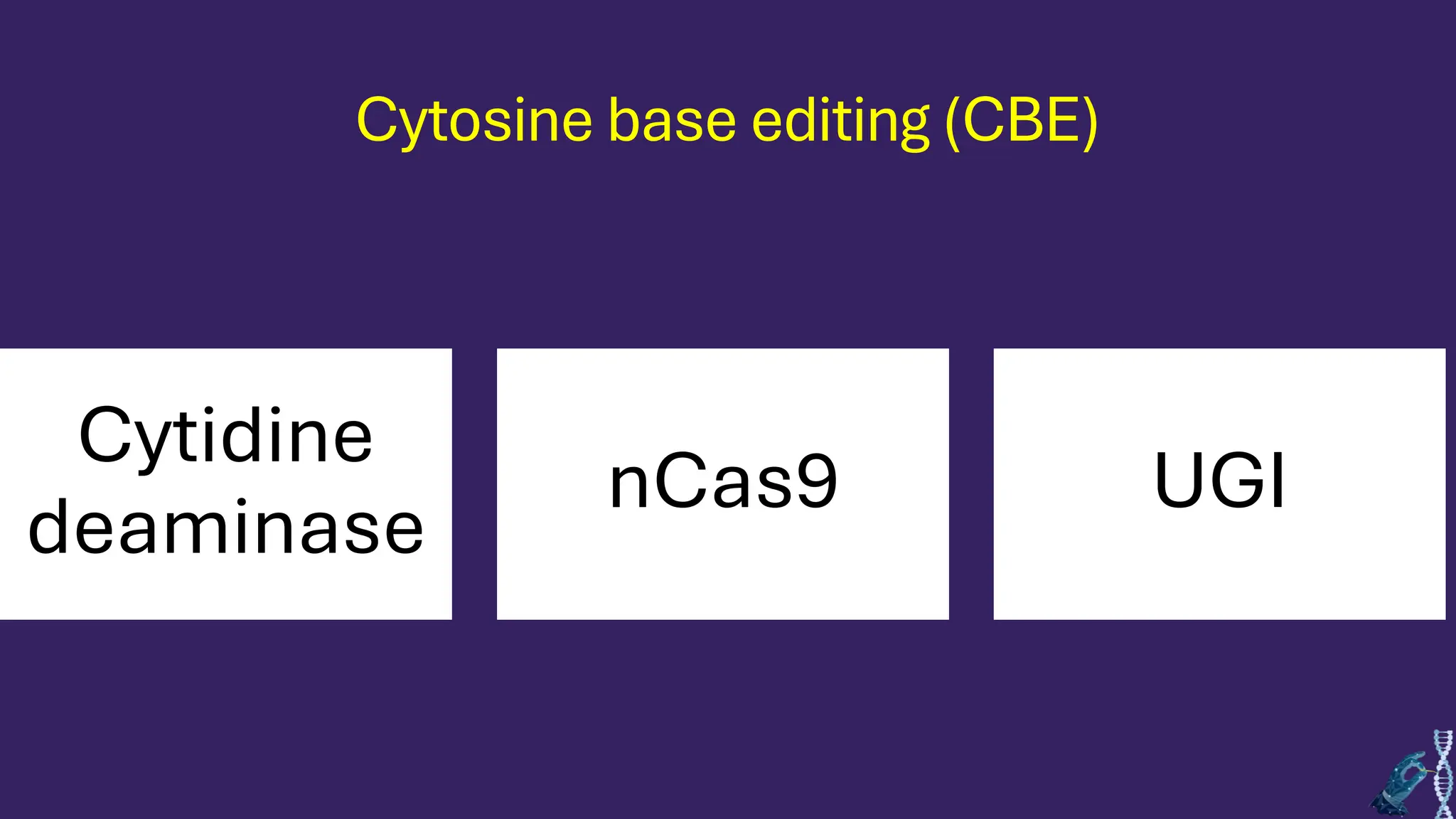 Cytosine base editing (CBE)
Cytidine
deaminase
nCas9 UGI