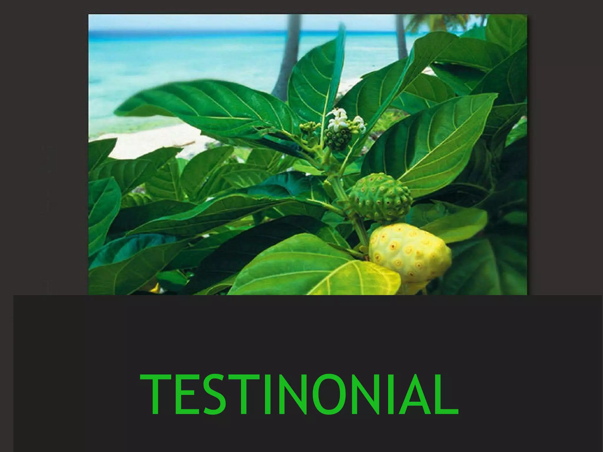 TESTINONIAL  