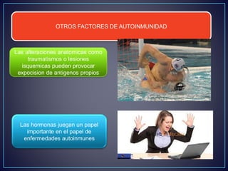 OTROS FACTORES DE AUTOINMUNIDAD 
Las alteraciones anatomicas como 
traumatismos o lesiones 
isquemicas pueden provocar 
expocision de antigenos propios 
Las hormonas juegan un papel 
importante en el papel de 
enfermedades autoinmunes 
 