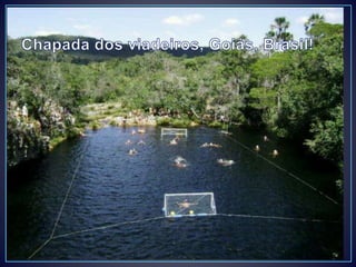 Base genética de la autoinmunidad