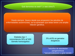 Qué demonios es esto? ( o sea cómo?) 
Desde siempre (bueno desde que empezaron los estudios de 
enfermedades autoinmunes), se ha apreciado que éstas tienen una amplia 
relación genética. 
Diabetes tipo 1 
concordancia 35% al %50 
Gemelo homocigotico 
5% al 6% en gemelos 
dicigoticos 
*estudios de asociacion 
pangenomicos 
*secuencializacion a gran escala 
 