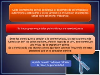 Cada polimorfismo genico contribuye al desarrollo de enfermedades 
autoinmunes particulares y estos tambien se encuentran en personas 
sanas pero con menor frecuencia 
Se ha propuesto que tales polimorfismos se heredan juntos 
Entre los genes que se asocian a la autoinmunidad, las asociaciones más 
fuertes son con los genes del MHC, Pero el locus de el MHC sólo contribuye 
a la mitad de la propensión génica . 
Se a demostrado que algunos alelos aparecen con más frecuencia en estos 
pacientes que en la poblacion general 
A partir de esto podemos calcular 
la razón de probabilidad. 
 