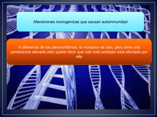 Alteraciones monogenicas que causan autoinmunidad 
A diferencia de los pleomorfismos, la mutacion es rara, pero tiene una 
penetrancia elevada esto quiere decir que casi todo portador está afectado por 
ella 
 