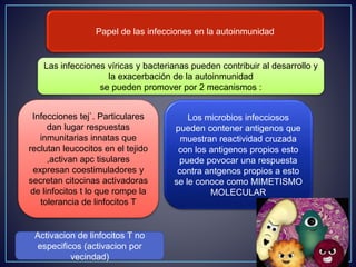 Papel de las infecciones en la autoinmunidad 
Las infecciones víricas y bacterianas pueden contribuir al desarrollo y 
la exacerbación de la autoinmunidad 
se pueden promover por 2 mecanismos : 
Infecciones tej`. Particulares 
dan lugar respuestas 
inmunitarias innatas que 
reclutan leucocitos en el tejido 
,activan apc tisulares 
expresan coestimuladores y 
secretan citocinas activadoras 
de linfocitos t lo que rompe la 
tolerancia de linfocitos T 
Los microbios infecciosos 
pueden contener antigenos que 
muestran reactividad cruzada 
con los antigenos propios esto 
puede povocar una respuesta 
contra antgenos propios a esto 
se le conoce como MIMETISMO 
MOLECULAR 
Activacion de linfocitos T no 
especificos (activacion por 
vecindad) 
 