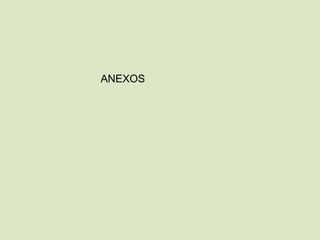 ANEXOS
 