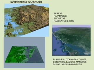 SERRAS
PATAMARES
ENCOSTAS
NASCENTES E RIOS
PLANICIES LITORANEAS, VALES,
ESTUARIOS, LAGOAS, MANGUES,
DUNAS, AREAS INUNDAVEIS
ECOSSISTEMAS VULNERÁVEIS
 
