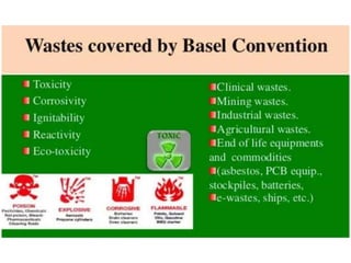 Basel Convention.pptx
