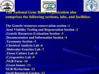 The National Gene Bank Organization alsoThe National Gene Bank Organization also
comprises the following sections, labs, and facilities:comprises the following sections, labs, and facilities:
1-The Genetic resources conservation section
2-Seed Viability Testing and Regeneration Section.
3-Genetic Resources Evaluation Section.
4-Documentation and Information Section.
5-Taxonomy Section.
6-Chemical Analysis Lab.
7-Molecular Genetics Lab.
8-Tissue Culture Lab.
9-Cytogenetics Lab.
10-NGB Farm.
11-Green houses.
12-NGB Herbarium
 