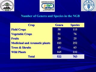 Number of Genera and Species in the NGB
CropCrop GenraGenra SpeciesSpecies
Field CropsField Crops 5858 115115
Vegetable CropsVegetable Crops 5151 7676
FruitsFruits 2020 2525
Medicinal and Aromatic plantsMedicinal and Aromatic plants 183183 252252
Trees & ShrubsTrees & Shrubs 4545 6363
Wild PlantsWild Plants 165165 232232
TotalTotal 522522 763763
 