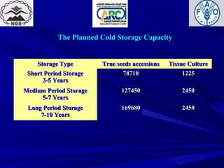 The Planned Cold Storage Capacity
Storage TypeStorage Type True seeds accessionsTrue seeds accessions Tissue CultureTissue Culture
Short Period StorageShort Period Storage
3-5 Years3-5 Years
7871078710 12251225
Medium Period StorageMedium Period Storage
5-7 Years5-7 Years
127450127450 24502450
Long Period StorageLong Period Storage
7-10 Years7-10 Years
169680169680 24502450
 
