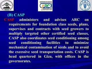 (B) CASP(B) CASP
CASPCASP administers and advises ARC onadministers and advises ARC on
requirements for foundation class seeds, plans,requirements for foundation class seeds, plans,
supervises and contracts with seed growers tosupervises and contracts with seed growers to
multiply targeted other certified seed classes,multiply targeted other certified seed classes,
CASP also coordinates seed conditioning amongCASP also coordinates seed conditioning among
seed conditioning facilities to minimizeseed conditioning facilities to minimize
mechanical contamination of seeds and to avoidmechanical contamination of seeds and to avoid
the excessive seed transportation costs. CASP isthe excessive seed transportation costs. CASP is
head quartered in Giza, with offices in thehead quartered in Giza, with offices in the
governorates.governorates.
 
