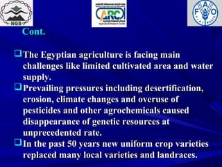 Cont.Cont.
The Egyptian agriculture is facing mainThe Egyptian agriculture is facing main
challenges like limited cultivated area and waterchallenges like limited cultivated area and water
supply.supply.
Prevailing pressures including desertification,Prevailing pressures including desertification,
erosion, climate changes and overuse oferosion, climate changes and overuse of
pesticides and other agrochemicals causedpesticides and other agrochemicals caused
disappearance of genetic resources atdisappearance of genetic resources at
unprecedented rate.unprecedented rate.
In the past 50 years new uniform crop varietiesIn the past 50 years new uniform crop varieties
replaced many local varieties and landraces.replaced many local varieties and landraces.
 