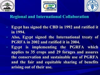 Regional and International CollaborationRegional and International Collaboration
- Egypt has signed the CBD in 1992 and ratified itEgypt has signed the CBD in 1992 and ratified it
in 1994.in 1994.
- Also, Egypt signed the International treaty ofAlso, Egypt signed the International treaty of
PGRFA in 2002 and ratified it in 2004.PGRFA in 2002 and ratified it in 2004.
- Egypt is implementing the PGRFA whichEgypt is implementing the PGRFA which
applies to 35 crops and 29 forages and assuresapplies to 35 crops and 29 forages and assures
the conservation and sustainable use of PGRFAthe conservation and sustainable use of PGRFA
and the fair and equitable sharing of benefitsand the fair and equitable sharing of benefits
arising out of their use.arising out of their use.
 