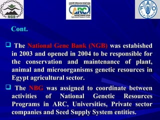 Cont.Cont.
 TheThe National Gene Bank (NGB)National Gene Bank (NGB) was estabishedwas estabished
in 2003 and opened in 2004 to be responsible forin 2003 and opened in 2004 to be responsible for
the conservation and maintenance of plant,the conservation and maintenance of plant,
animal and microorganisms genetic resources inanimal and microorganisms genetic resources in
Egypt agricultural sector.Egypt agricultural sector.
 TheThe NBGNBG was assigned to coordinate betweenwas assigned to coordinate between
activities of National Genetic Resourcesactivities of National Genetic Resources
Programs in ARC, Universities, Private sectorPrograms in ARC, Universities, Private sector
companies and Seed Supply System entities.companies and Seed Supply System entities.
 